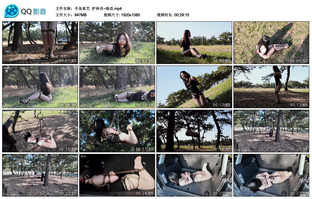 半岛束艺 护林员~海语