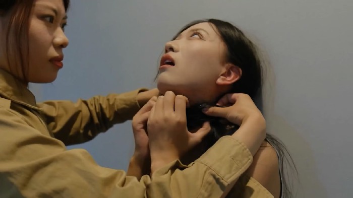 山村工作室最新集资片女狼2