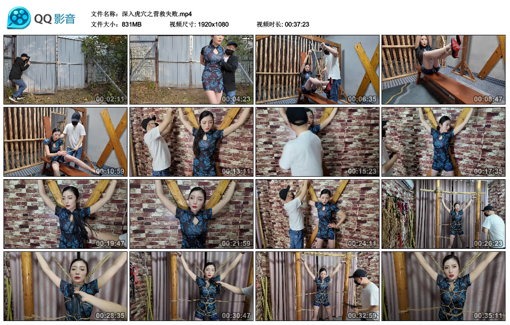 李大侠深入虎穴之营救失败