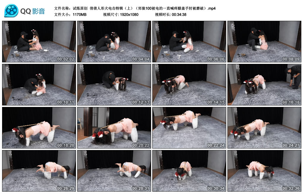 【试炼原创】 倩倩人形犬训练特辑（上）郊狼100被电的一直喊疼膝盖手肘被磨破-缚乐绳艺