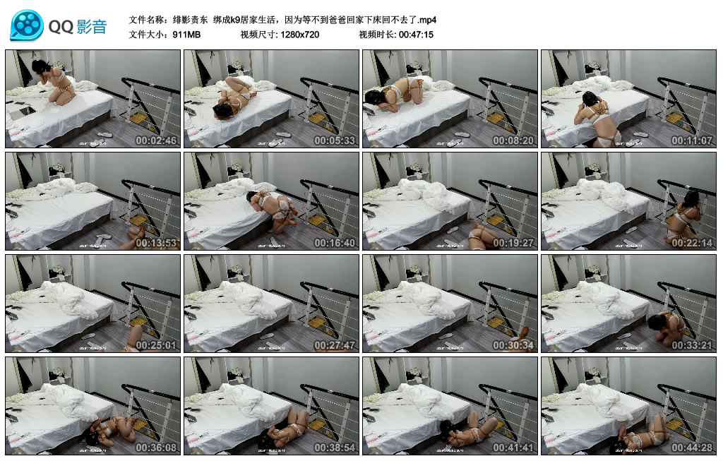 【绯影责东】 绑成k9居家生活，因为等不到爸爸回家下床回不去了-缚乐绳艺