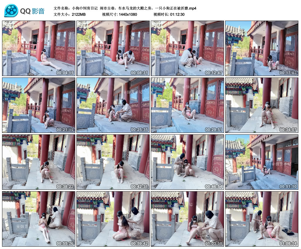 【小狗の饲育日记】 闹市古巷，车水马龙的大殿之旁，一只小狗正在被折磨-缚乐绳艺