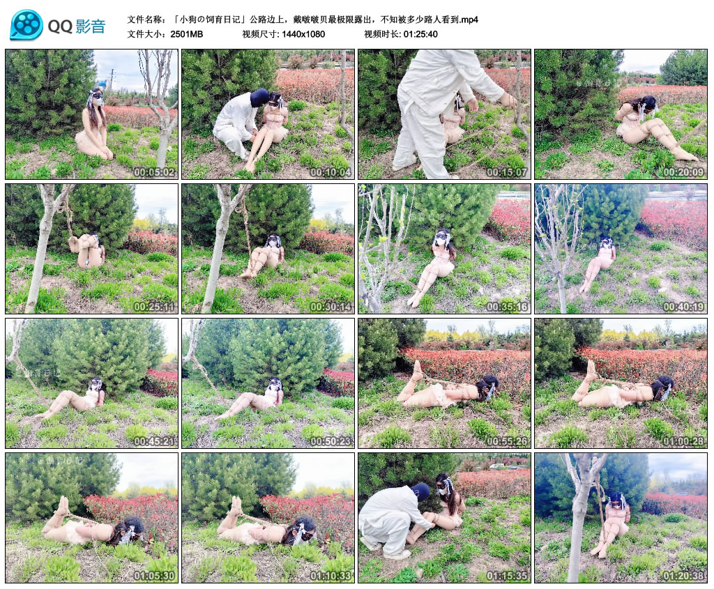 【小狗の饲育日记】公路边上，戴啵啵贝最极限露出，不知被多少路人看到-缚乐绳艺
