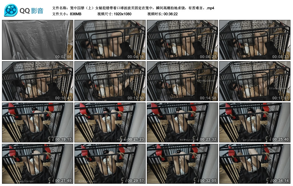 集梦原创 笼中囚禁（上）女秘犯错带着口球波波贝固定在笼中，瞬间gao潮拍地求饶，有…