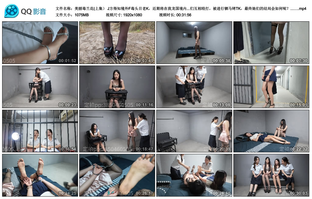 【忘忧社】美丽毒兰花（上）J方得知境外F毒头目老K，近期将在我龙国境内进行D品交易，...-缚乐绳艺