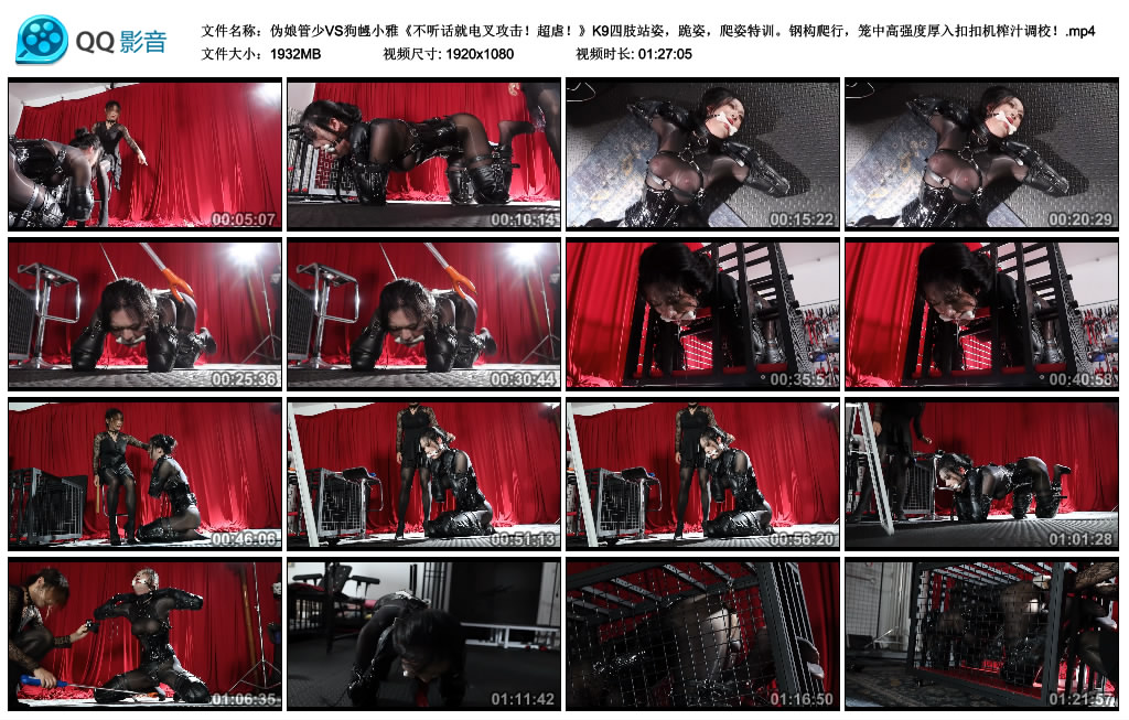 【面具男】 伪娘管少VS狗乸小雅《不听话就电叉攻击！超虐！》K9四肢站姿，跪...-缚乐绳艺