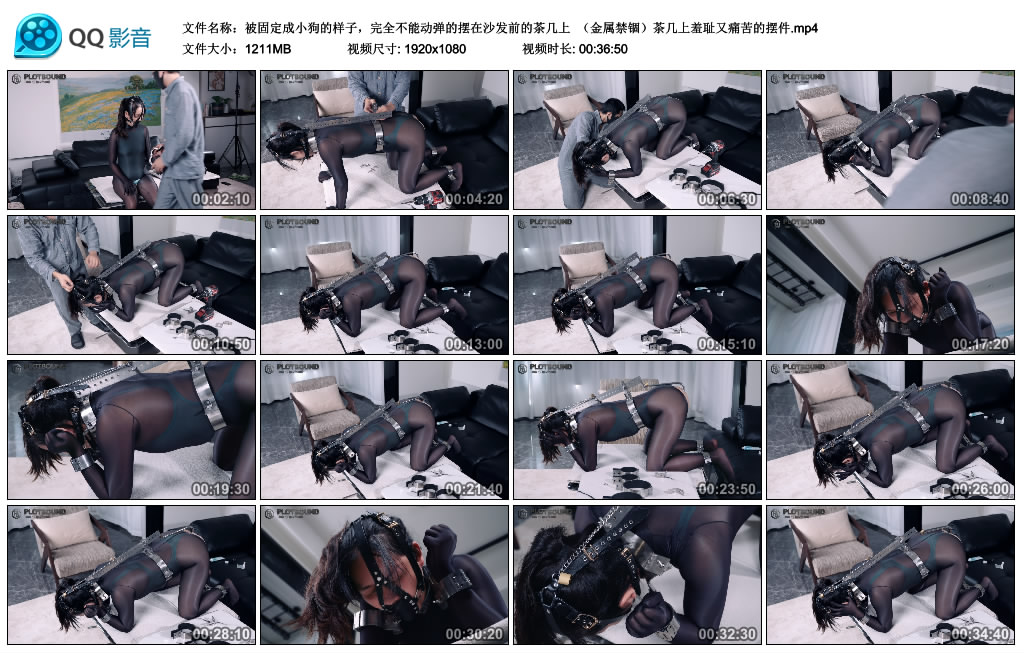 【Raymond】 被固定成小狗的样子，完全不能动弹的摆在沙发前的茶几上  （金属禁锢）茶...-缚乐绳艺