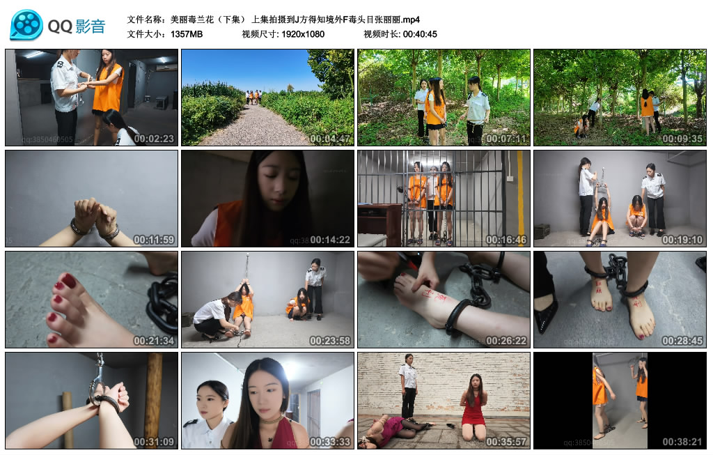 【忘忧社】美丽毒兰花（下集） 上集拍摄到J方得知境外F毒头目张丽丽..-缚乐绳艺