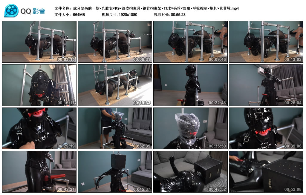 成分复杂的一期×乳胶衣×K9×漆皮拘束具×钢管拘束架×口球×头箱×郊狼×呼吸...-缚乐绳艺