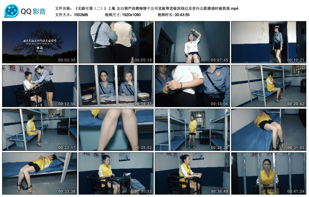 【胜景影视】无路可遁（二）上集 女白领严洛雅痴情于公司老板帮老板洗钱以及贪污公款...-缚乐绳艺